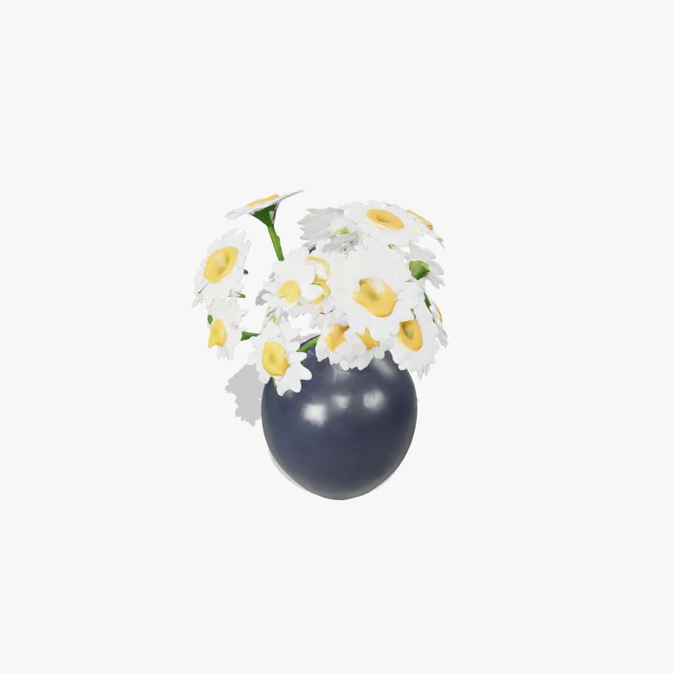 Modern Black Vase with Daisies model pack